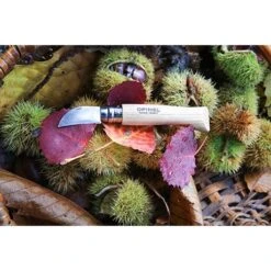 Opinel Couteau N°07 Châtaigne, Ail Et Dénoyauteur 10 Opinel Couteau N°07 Châtaigne, Ail Et Dénoyauteur -Opinel 411012 3 2 Couteau N 07 chataigne ail et denoyauteur Opinel