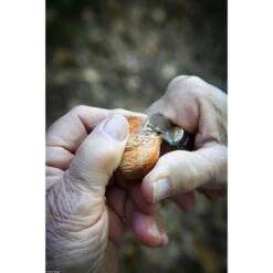 Opinel Couteau N°07 Châtaigne, Ail Et Dénoyauteur 11 Opinel Couteau N°07 Châtaigne, Ail Et Dénoyauteur -Opinel 411012 4 2 Couteau N 07 chataigne ail et denoyauteur Opinel