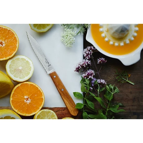 Opinel Coffret Les Essentiels Olivier 4 Opinel Coffret Les Essentiels Olivier – Image 2