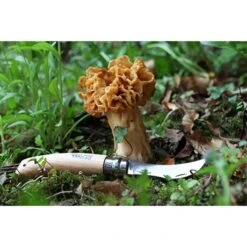 Opinel Couteau à Champignons Pliant N°8 Lame Inox 8 Cm -Opinel 471156 2 3 Couteau a champignons pliant N 8 lame inox 8 cm Opinel