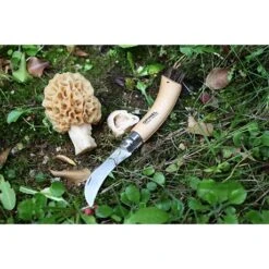 Opinel Couteau à Champignons Pliant N°8 Lame Inox 8 Cm -Opinel 471156 3 3 Couteau a champignons pliant N 8 lame inox 8 cm Opinel