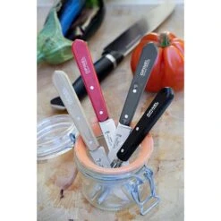 Opinel Coffret 4 Couteaux Essentiels Loft -Opinel 471165 2 3 Coffret 4 couteaux Essentiels Loft Opinel