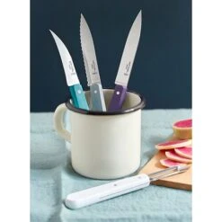 Opinel Coffret 4 Couteaux Essentiels Art Déco 7 Opinel Coffret 4 Couteaux Essentiels Art Déco -Opinel 471166 2 3 Coffret 4 couteaux Essentiels Art Deco Opinel