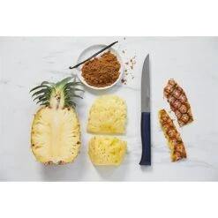 Opinel Couteau à Découper Intempora N°220 16 Cm 9 Opinel Couteau à Découper Intempora N°220 16 Cm -Opinel 471254 3 3 Couteau a decouper Intempora n 220 16 cm Opinel