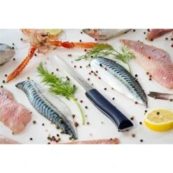 Opinel Couteau Effilé Intempora N°221 18 Cm 10 Opinel Couteau Effilé Intempora N°221 18 Cm -Opinel 471255 3 3 Couteau Effile Intempora N 221 18 cm Opinel