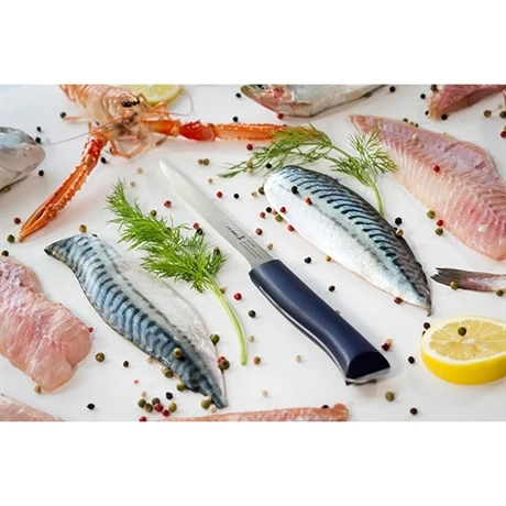 Opinel Couteau Effilé Intempora N°221 18 Cm 6 Opinel Couteau Effilé Intempora N°221 18 Cm – Image 4