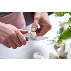 Opinel Couteau Office Intempora N°225 Inox 10 Cm -Opinel 471257 2 3 Couteau office Intempora N 225 inox 10 cm Opinel