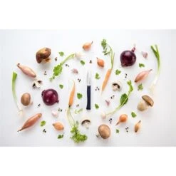 Opinel Couteau Office Intempora N°225 Inox 10 Cm -Opinel 471257 4 3 Couteau office Intempora N 225 inox 10 cm Opinel