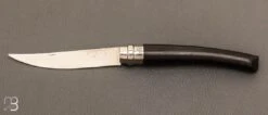 Couteau Opinel Effilé N°10 Inox ébène - Nouvelle Version