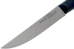 Opinel Intempora Couteau à Viande No. 220, 16 Cm -Opinel OP002220 03 opinel intempora