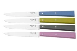 Opinel T001533, Set De Couteaux à Steak, Esprit Campagne